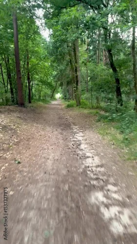 The path passes through dense forest and wildlife