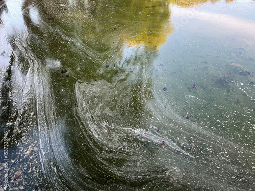 Fototapeta Naklejka Na Ścianę i Meble -  White pollen covering the lake surface.