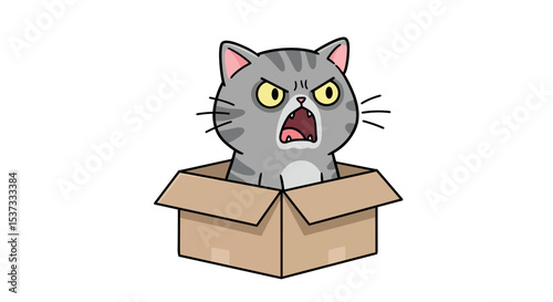 Angry cat cartoon in cardboard box isolated on white background vector illustration