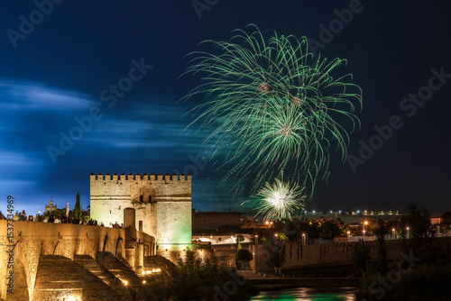 firework fuegos artificiales torre tower bridge city landscape