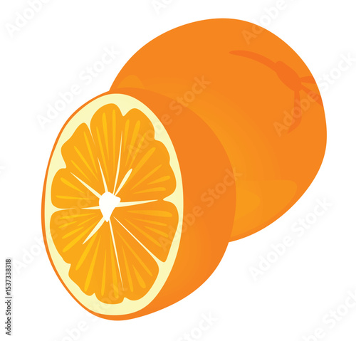 Orange fruit isolated. vector illustration	
