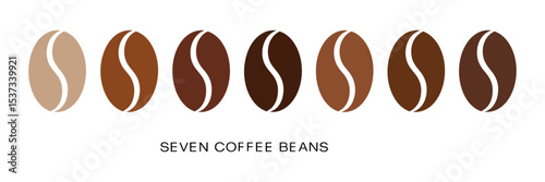 Seven Coffee Beans in a Row with Different Shades of Brown from Light to Dark on a White Background for Graphic Design