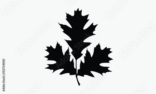 Autumn leaf , utumn leaves silhouette vector on white background 