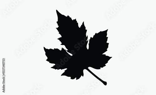 Autumn leaf , utumn leaves silhouette vector on white background 