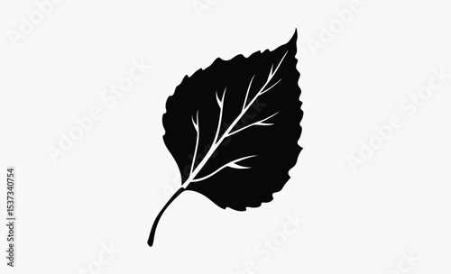 Autumn leaf , utumn leaves silhouette vector on white background 