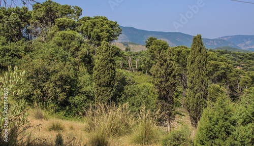 Scatti Vari photo