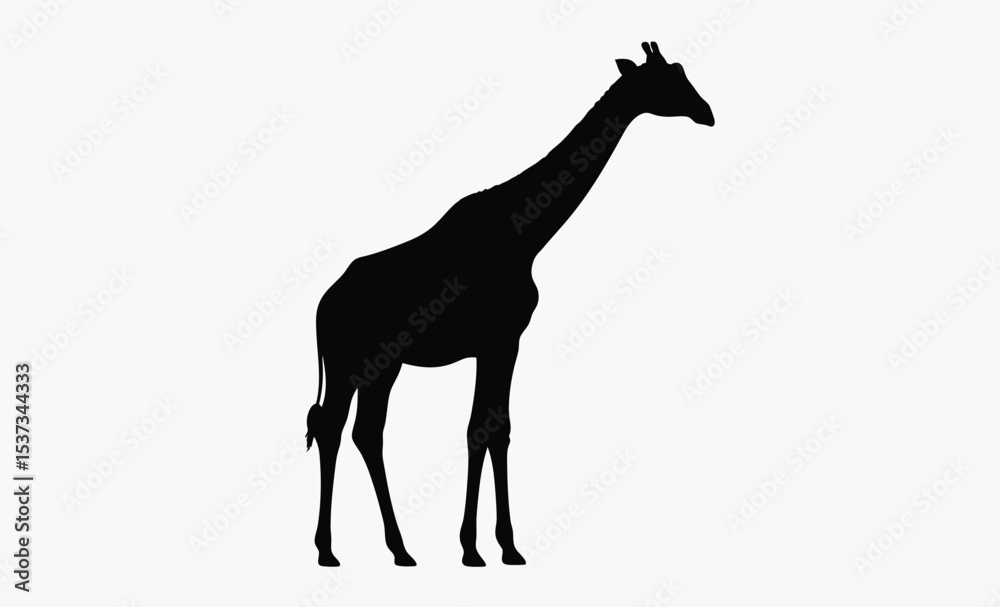 Fototapeta premium Giraffe silhouette drawing, hand drawn animal vector