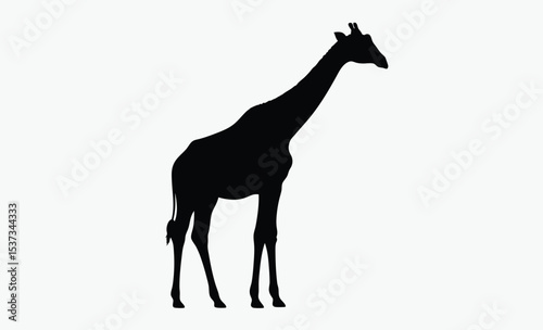 Giraffe silhouette drawing, hand drawn animal vector
