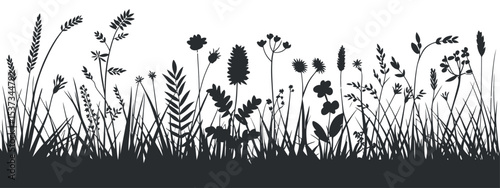 Wild Grass and Flowers Silhouette Vector Illustration Meadow Plants Border Field Herbs Floral Design Element Nature Background Black and White
