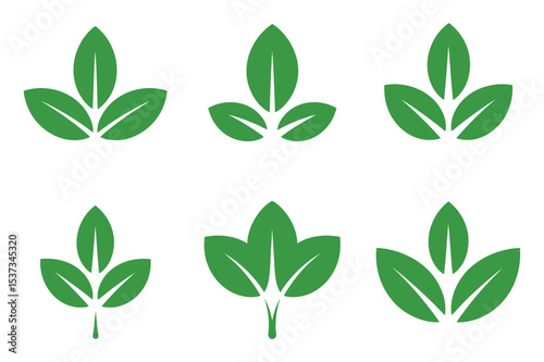 Set of Six Green Leaf Vector Illustrations on a White Background for Nature Ecology and Organic Concepts