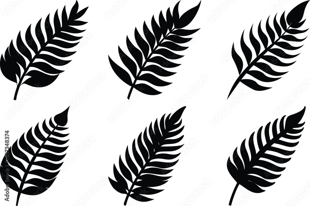 Obraz premium Fern Leaf Silhouette Vector Pack