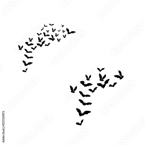 Flying mammals with wings, bats are nocturnal creatures known for echolocation and insect control.
