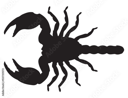SCORPION SILHOUETTE
