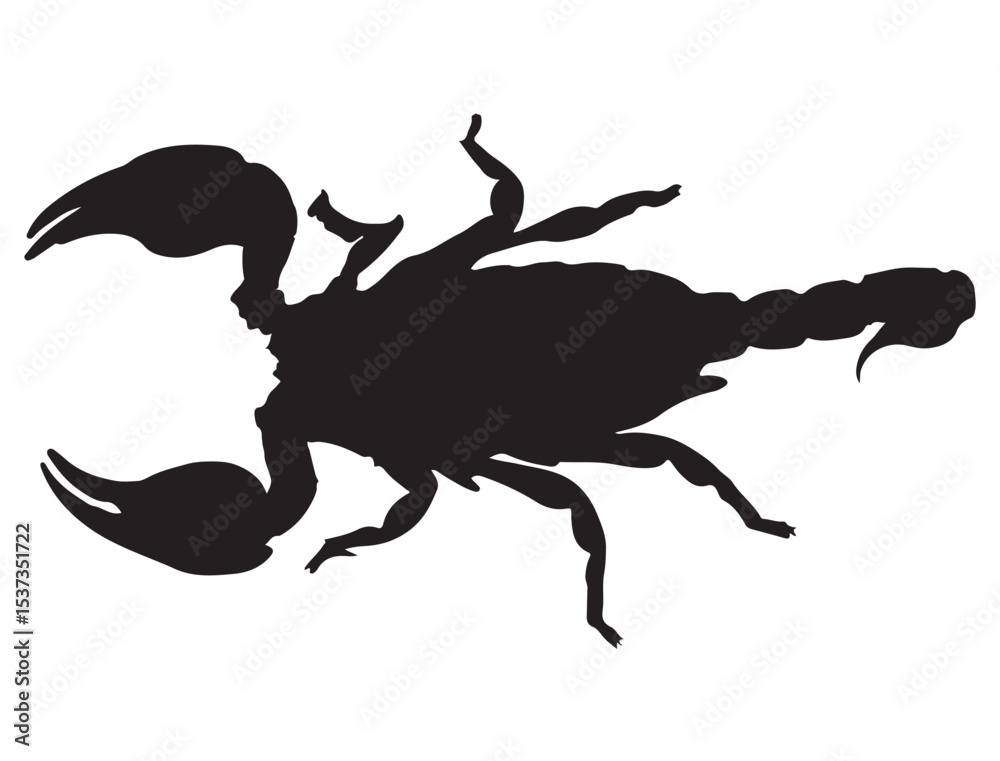 Fototapeta premium SCORPION SILHOUETTE