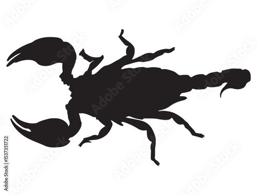 SCORPION SILHOUETTE