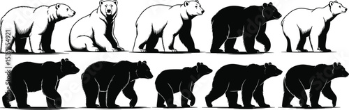 Dynamic Bear Silhouettes Collection, Featuring Grizzly, Polar, and Black Bears in Various Poses, Perfect for Wildlife and Nature Designs