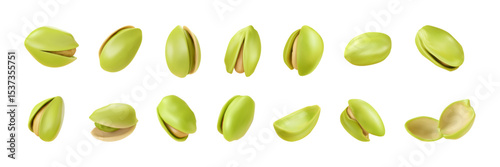 Vector set of realistic isolated pistachio on white background.