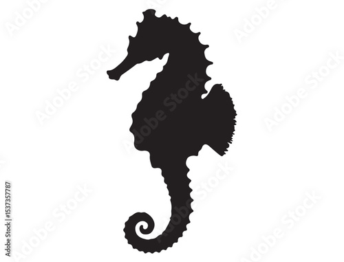 SEAHORSE SILHOUETTE