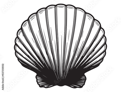 SEASHELL SILHOUETTE 
