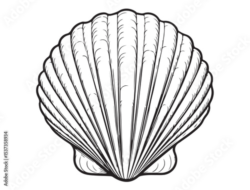 SEASHELL SILHOUETTE 