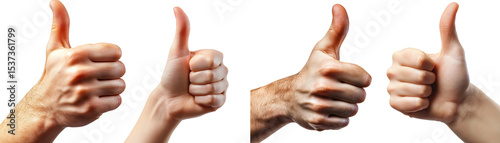 Collection of hands showing thumbs-up gestures, isolated on a transparent background