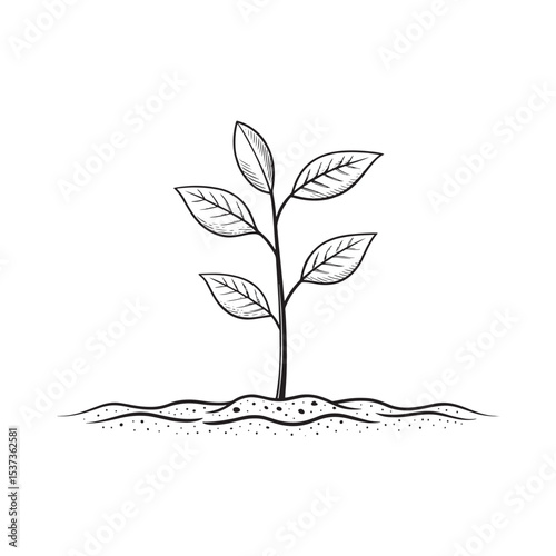 "Roots of Renewal: Growth Through Sustainability"