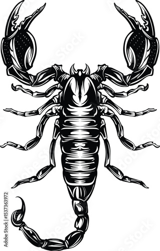 tattoo design line art black and white scorpion.eps