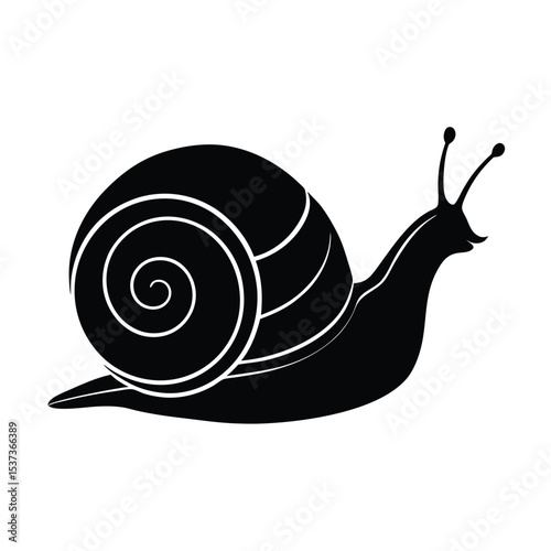 Single snail silhouette vector drawing on white background slow animal illustration