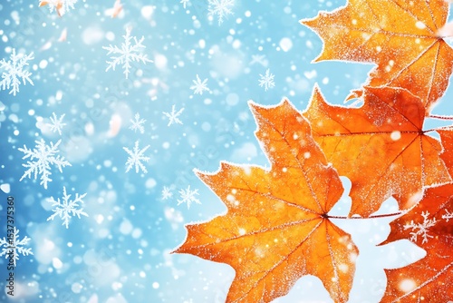 Orange maple leaves with frost and snowflakes on a light blue winter background image view