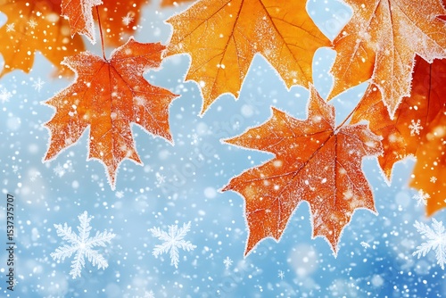 Orange maple leaves covered in frost with snowflakes falling on a light blue background