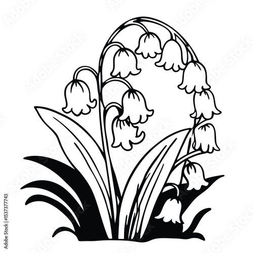 bluebell white background