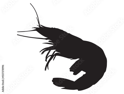SHRIMP SILHOUETTE