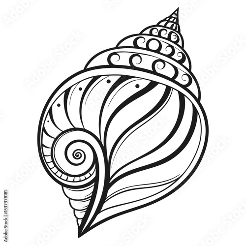 Detailed monochrome seashell art features stylized spiral patterns on a white background