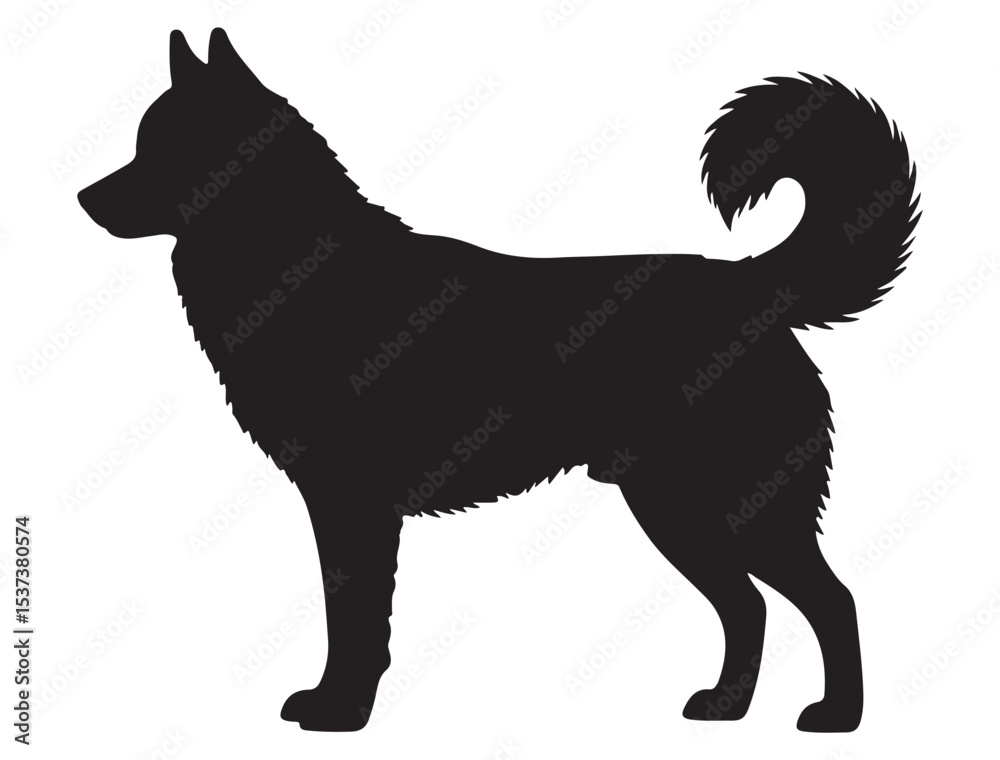 Fotografie SIBERIAN HUSKY SILHOUETTE