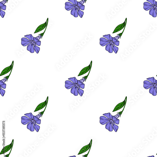 Seamless vector pattern of delicate periwinkle flowers with green leaves, arranged in a repeating design on a white background, ideal for textile prints or digital designs.