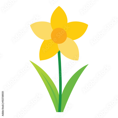 floral botanical illustration white background