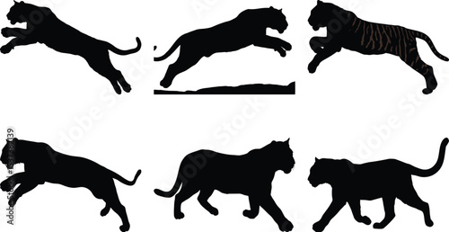 Set Tiger silhouette vector on white background 