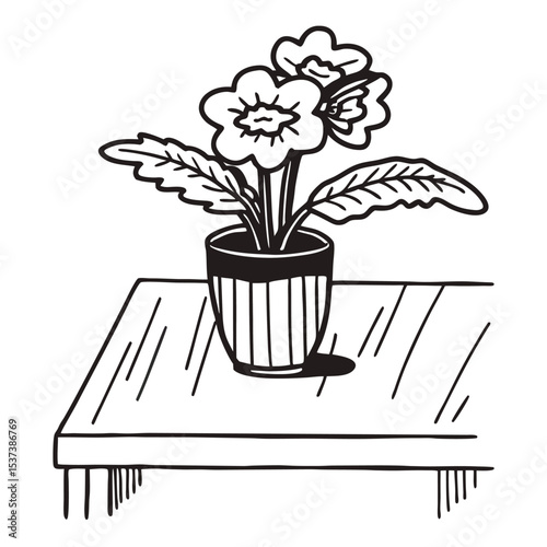 vector pot plants modern interior decor