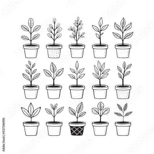 "Potted Progress: Icons of Growth and Sustainability"