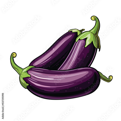 High-Quality Vector Image of Purple Eggplant Vegetable for Healthy Food Concept