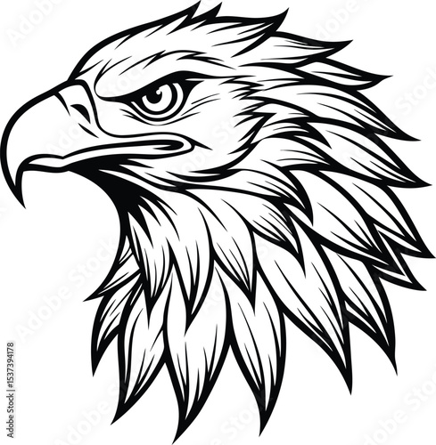 eagle head vector illustration