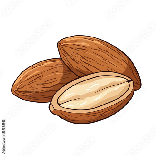 Cartoon Vector Illustration of Two Almonds, Nut Snack for Healthy Eating Concept