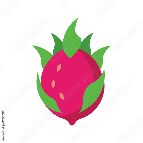 Dragon fruit tropical cactus fruit with vibrant color flat design color vector illustration