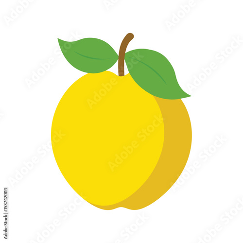 Desert quince wild fruit with unique shape and skin flat vector color vector illustration