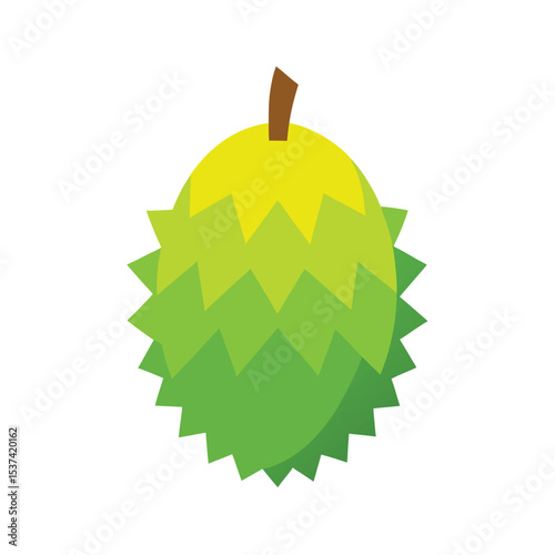 Durian spiky tropical fruit with strong aroma in vector flat style color vector illustration