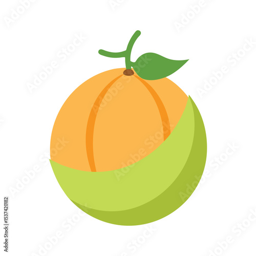 Galia melon smooth green skin melon fruit in clean vector style color vector illustration