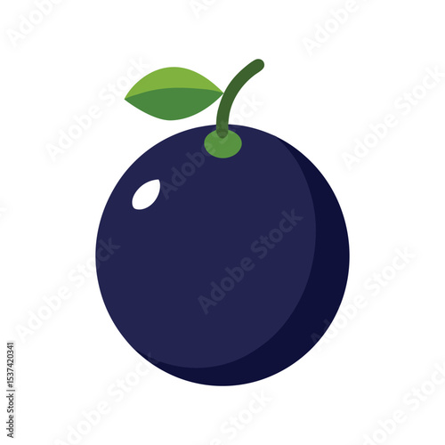 Jabuticaba round black fruit growing on bark in flat vector style color vector illustration