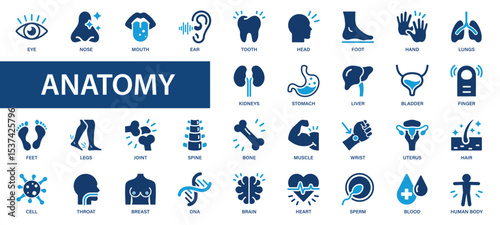 Anatomy flat icons set. Brain, heart, eye, hand, hair, blood, nose icons and more signs. Flat icon collection.
