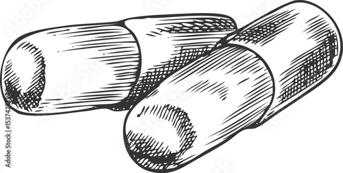 Maca root round sticks vector ink sketch, hand drawn engraved tuber superfood, organic seasoning, condiment ingredient