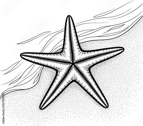 Black Ink Starfish on Sandy Beach with Waves ocean
